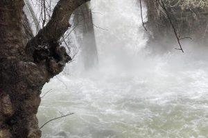 Banias Falls