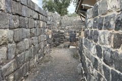 IMG_6384