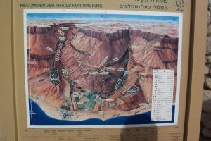 Ein Gedi
