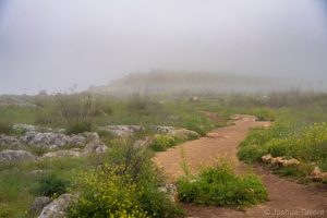 Mount Arbel