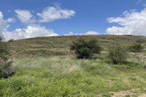 Mount of Beattitudes