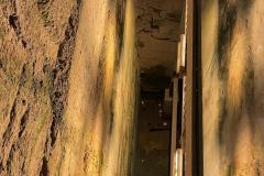 IMG_6288