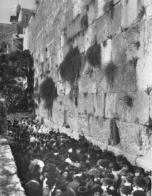 Matson - Crowds on Atonement Day at Western Temple wall - LC-DIG-matpc-12189.jpg
