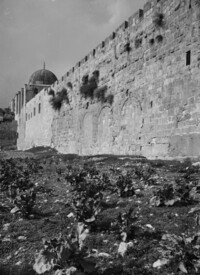 Matson - The Triple Gate - LC-DIG-matpc-05073.jpg